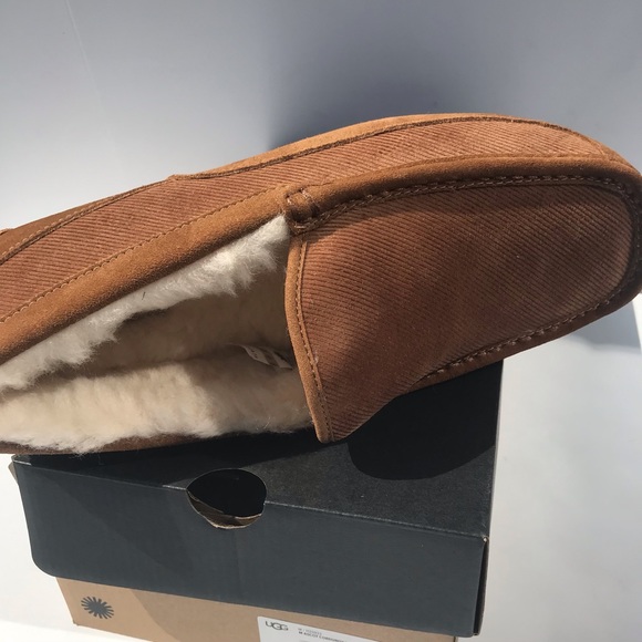 UGG Ascot Corduroy II - Picture 8 of 8